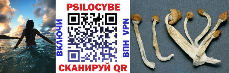 гидра зеркало  дарк нет формула  Галлюциногенные грибы Psilocybine cubensis  Удачный 